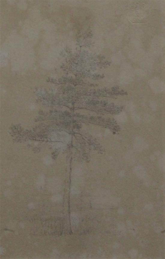Henry Wyatt (1794-1840) Landscapes, trees and botanical studies, largest 7 x 4.25in., in 6 frames
